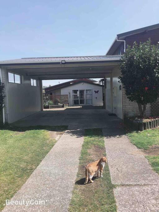 Budget Short Rotorua Exterior foto